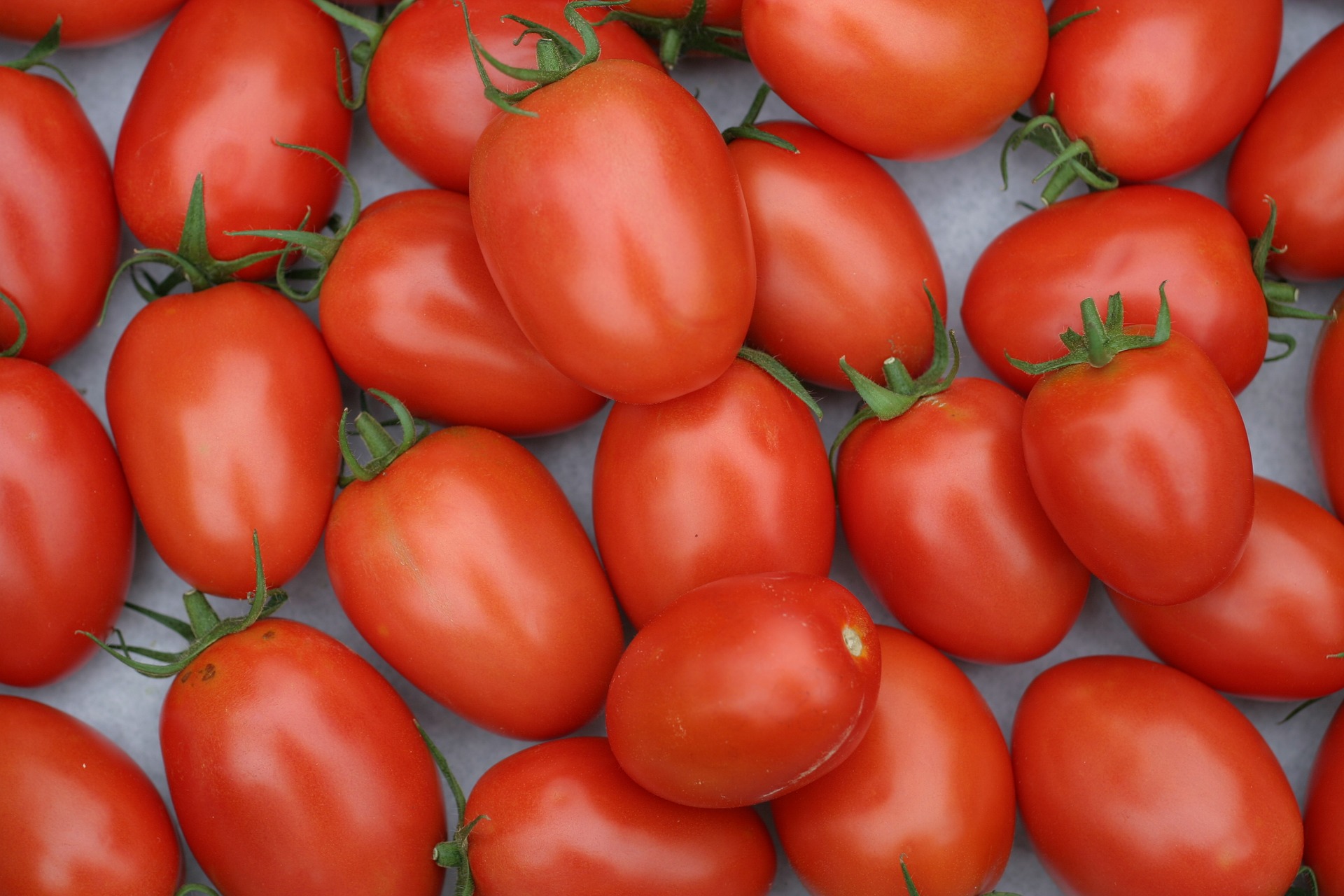 The Tomato Suspension Agreement (TSA)