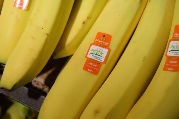 The Case for Organic: Bananas - Produce Business