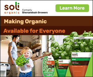 Soli Organic2 January 2022