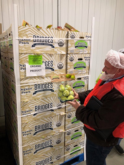 Morning Kiss Organic Welcomes Imported Pear Season - Perishable News