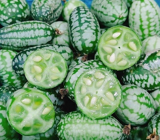 https://www.organicproducenetwork.com/uploads/Watermelon_Gherkin_cucumbers_from_La_Granjita.jpg